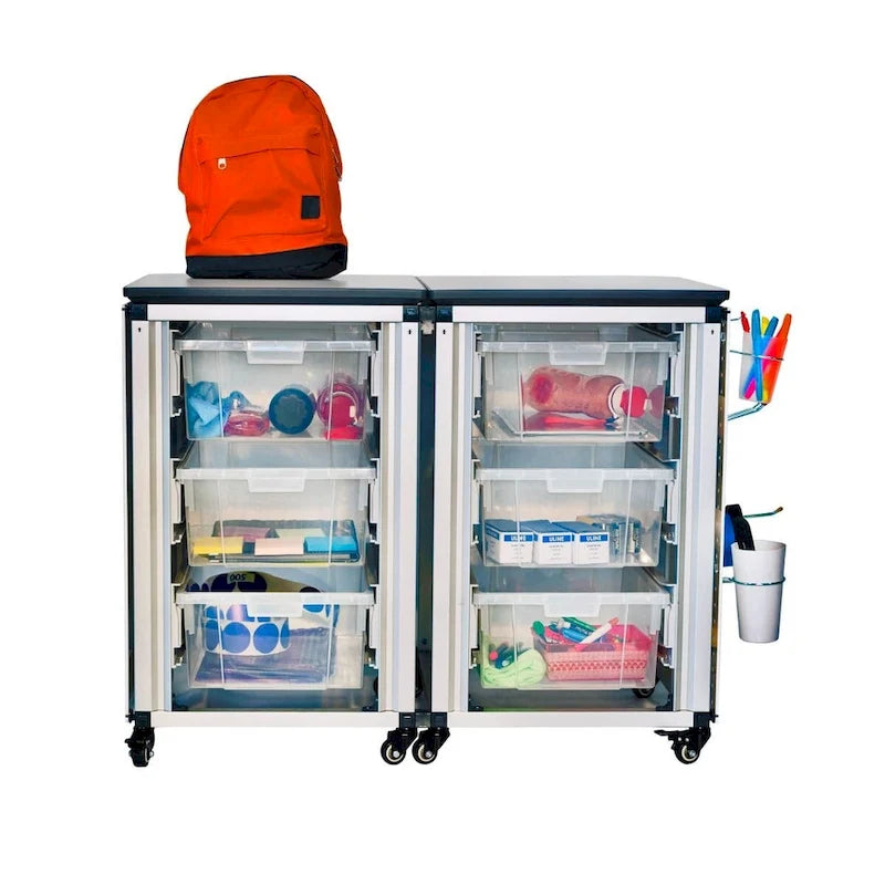 Modular Classroom Storage Cabinet - 2 side-by-side modules with 6 large bins - N/A