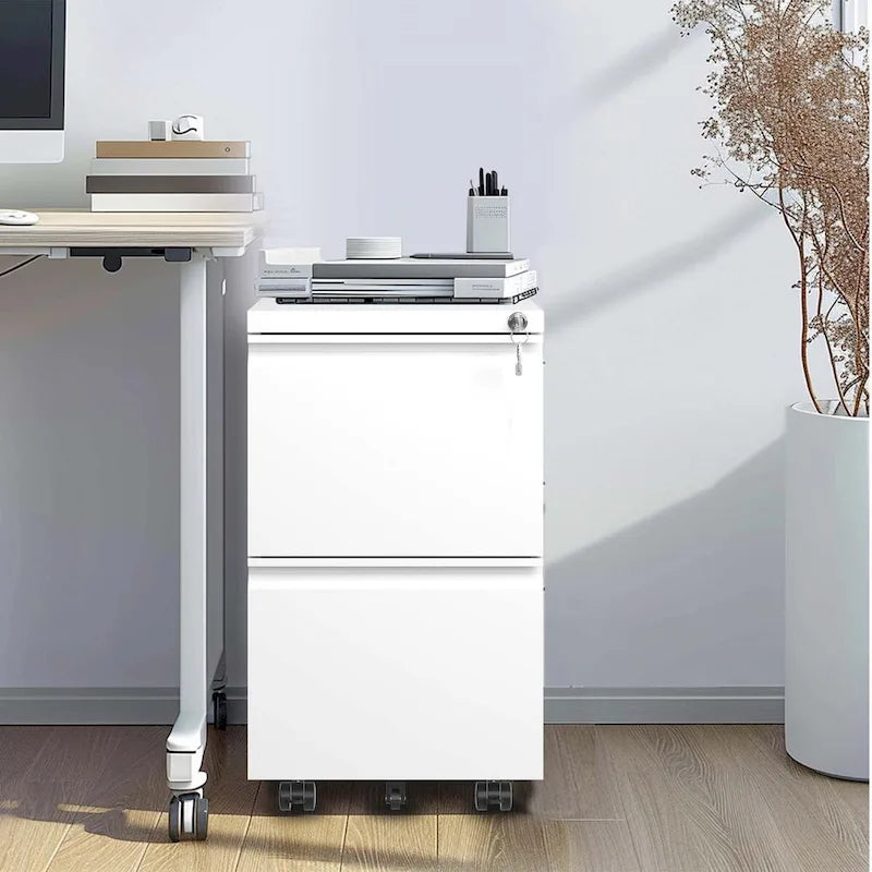 2 Drawer Metal Mobile File Cabinet,Rolling File Cabinet with Lock for Hanging Legal/Letter/A4 Size,Fully Assembled Except Wheels